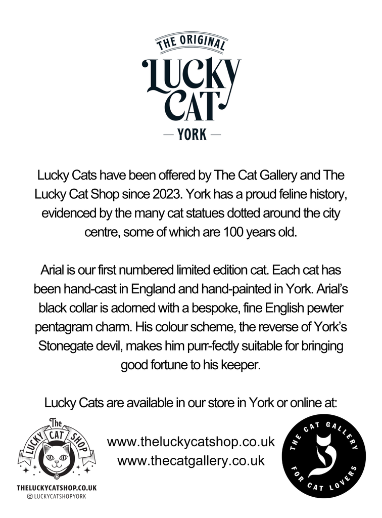 Black cat online store online