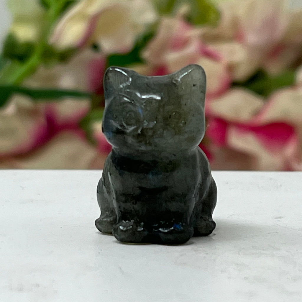  Labradorite Gemstone Kitten March Birthstone