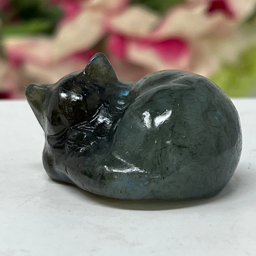 Labradorite Sleeping Gemstone Cat March Birthstone