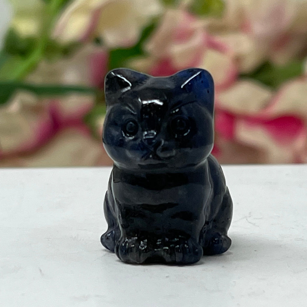 Sodalite Gemstone Kitten December Birthstone